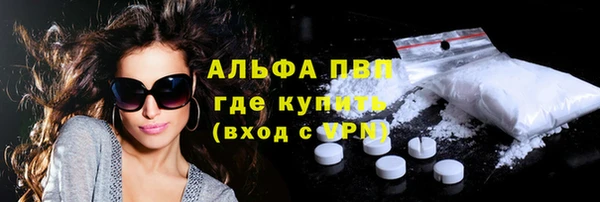 индика Арсеньев