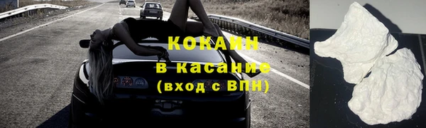индика Арсеньев