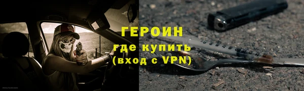 индика Арсеньев