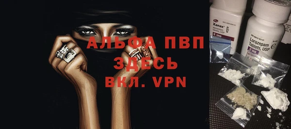 индика Арсеньев
