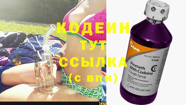 индика Арсеньев