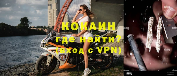 индика Арсеньев