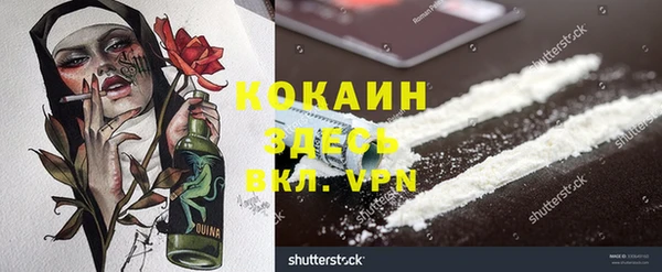 индика Арсеньев