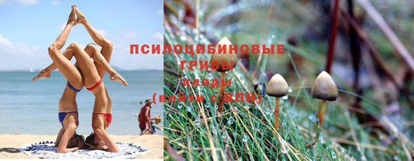 индика Арсеньев