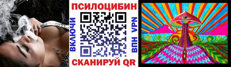 закладка  Шарья  Псилоцибиновые грибы Magic Shrooms 